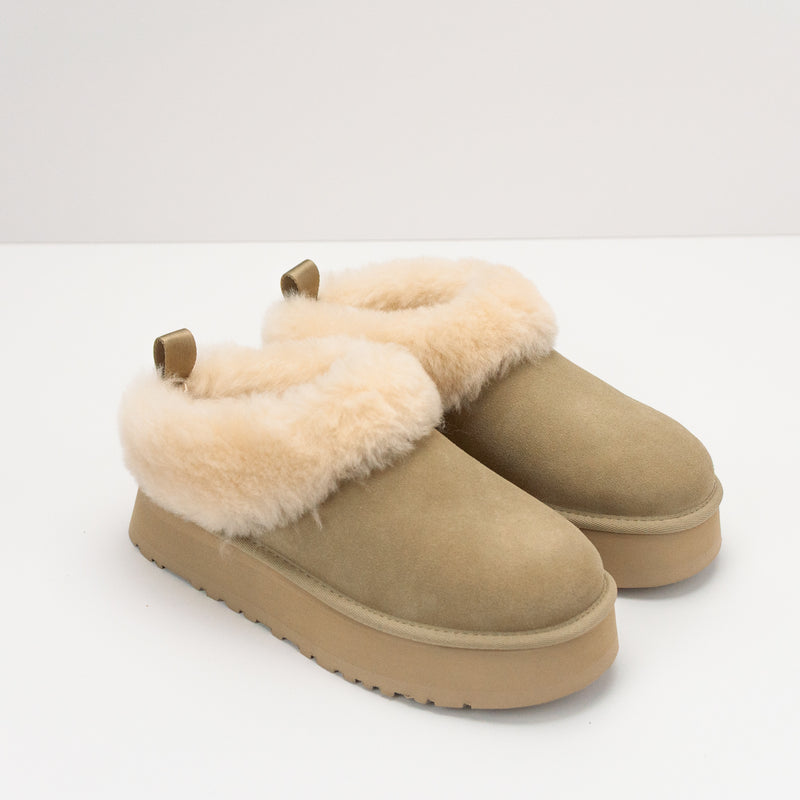 BOTA - UGG - TAZZELLE MUSTARD SEED