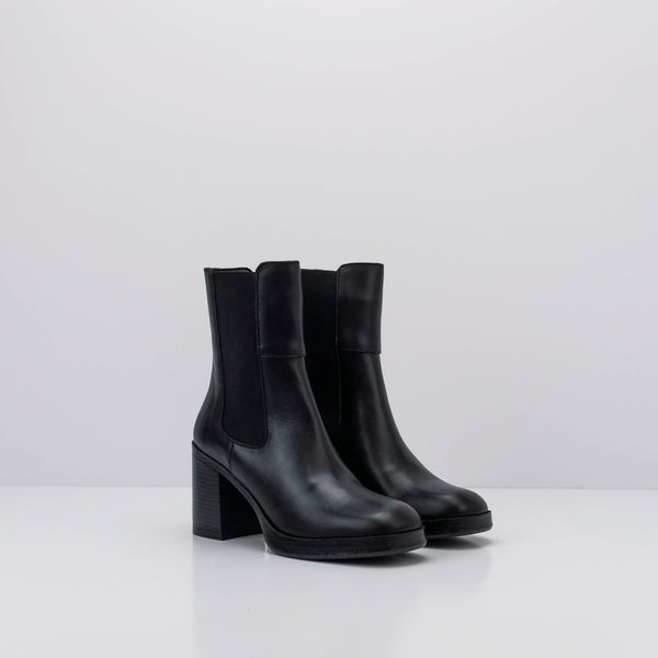 BOTIN - BRYAN STEPWISE - KALA NEGRO