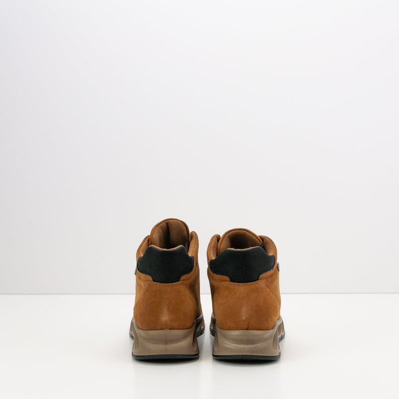 BOTIN - IGI&CO - DONNA KROSS GORE-TEX SCAM SUPER 10/12 TABACCO