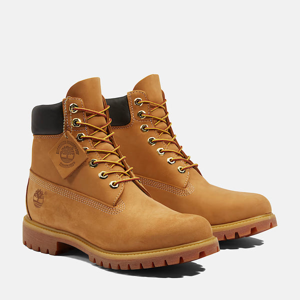 BOTA - TIMBERLAND - PREMIUM 6 IN LACE WATERPROOF AMARELO TB110061 713
