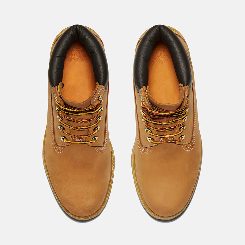 BOTA - TIMBERLAND - PREMIUM 6 IN LACE WATERPROOF AMARELO TB110061 713
