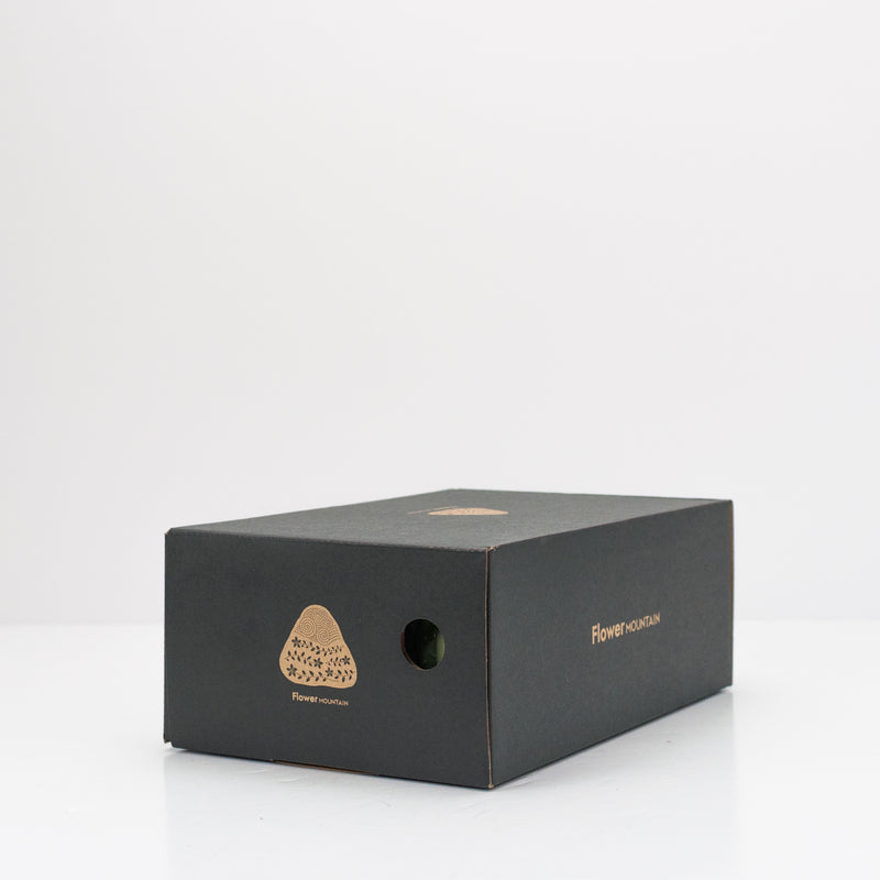 ZAPATILLA - FLOWER MOUNTAIN - YAMANO 3 UNI SUEDE CANVAS MILK BEIGE