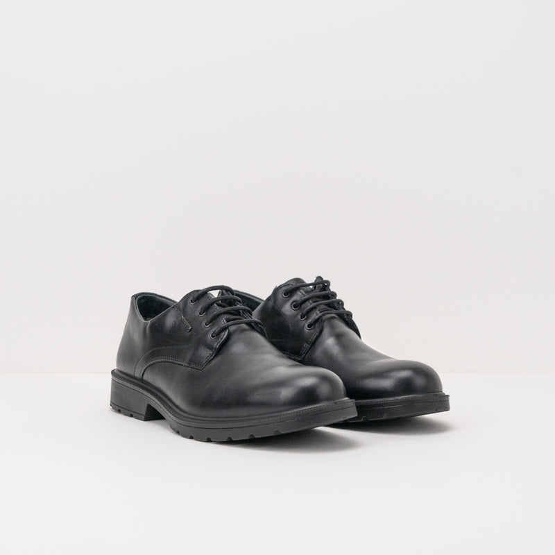 ZAPATO - IGI&CO - 2604100 UOMO VITELLO GTX ALFA NERO