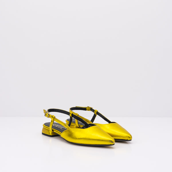 ZAPATO - SEIALE - ERVELLA AMARELO