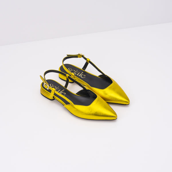 ZAPATO - SEIALE - ERVELLA AMARELO