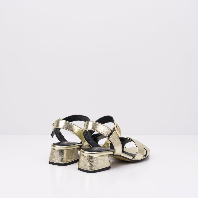 SEIALE - SANDAL - ESBROAR GOLD