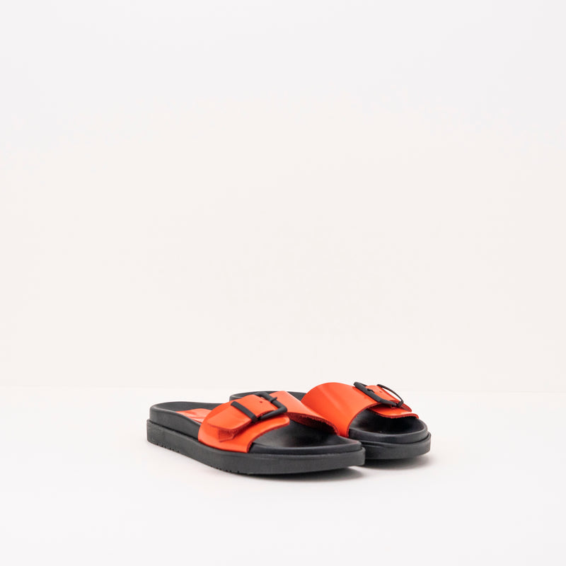 SEIALE -  SHOVEL - RED FERREO