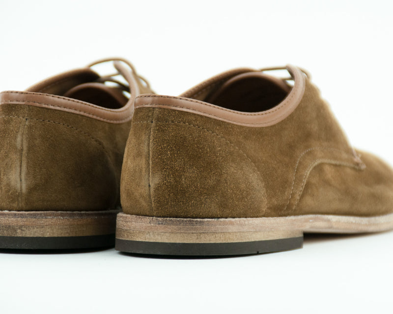 ZAPATO - HUDSON - HAYANE SUEDE